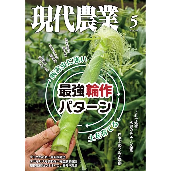 現代農業2025年1月号 [雑誌] | 農文協 | 趣味・その他 | Kindleストア